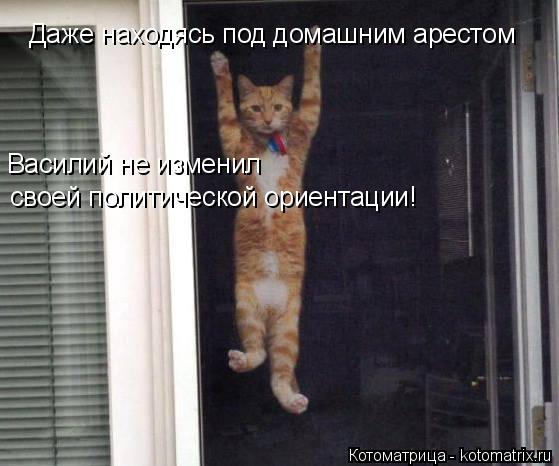Даже находясь под домашним арестом Василий не изменил своей политической ориентации!... Котоматрица: Даже находясь под домашним арестом Василий не изменил своей политической ориентации!