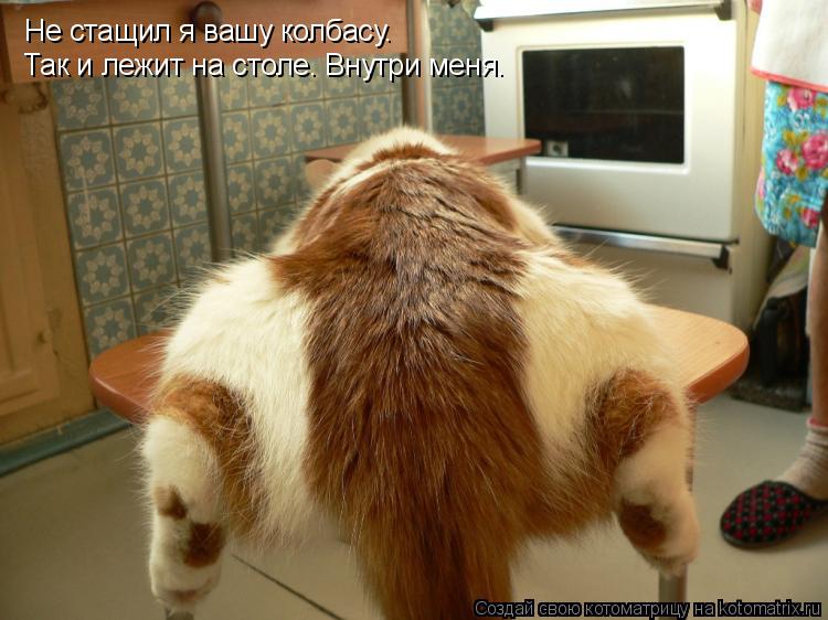 Не стащил я вашу колбасу. Так и лежит на столе. Внутри меня.... Котоматрица: Не стащил я вашу колбасу. Так и лежит на столе. Внутри меня.