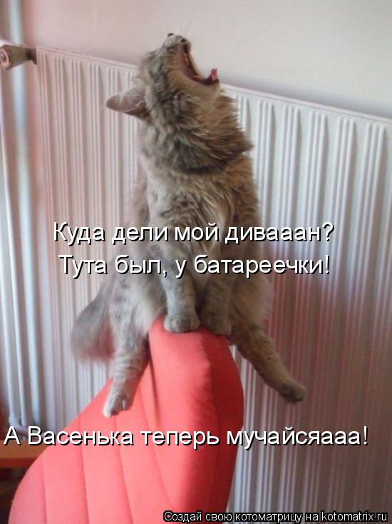 Куда дели мой дивааан? Тута был, у батареечки! А Васенька теперь мучайсяааа!... Котоматрица: Куда дели мой дивааан? Тута был, у батареечки! А Васенька теперь мучайсяааа!