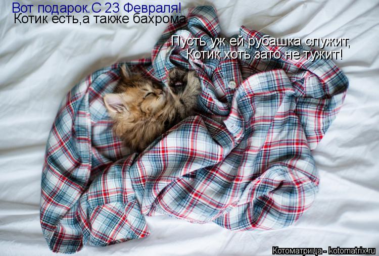 Вот подарок.С 23 Февраля! Котик есть,а также бахрома, Пусть уж ей рубашка служит, Котик хоть зато не ... Котоматрица: Вот подарок.С 23 Февраля! Котик есть,а также бахрома, Пусть уж ей рубашка служит, Котик хоть зато не тужит!