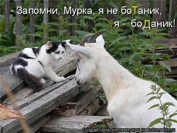 Котоматрица: я -  бо   аник! - Запомни, Мурка, я не бо  аник, Т Д