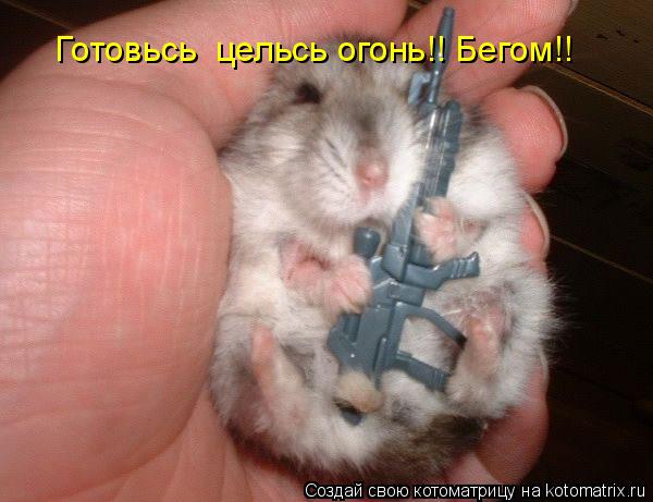 Готовьсь цельсь огонь!! Бегом!!... Котоматрица: Готовьсь цельсь огонь!! Бегом!!