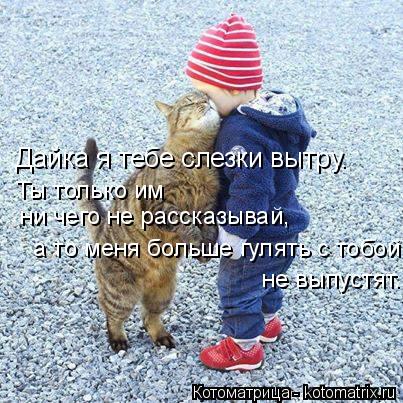 Дайка я тебе слезки вытру. Ты только им ни чего не рассказывай, а то меня больше гулять с тобой не... Котоматрица: Дайка я тебе слезки вытру. Ты только им ни чего не рассказывай, а то меня больше гулять с тобой не выпустят.
