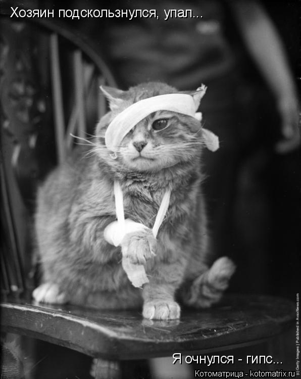 Хозяин подскользнулся, упал... Я очнулся - гипс...... Котоматрица: Хозяин подскользнулся, упал... Я очнулся - гипс...