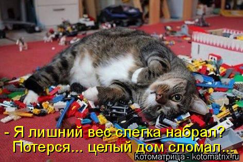 - Я лишний вес слегка набрал? Потерся... целый дом сломал...... Котоматрица: - Я лишний вес слегка набрал? Потерся... целый дом сломал...