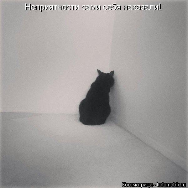 Неприятности сами себя наказали!... Котоматрица: Неприятности сами себя наказали!
