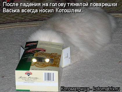После падения на голову тяжелой поварешки Васька всегда носил Котошлем.... Котоматрица: После падения на голову тяжелой поварешки Васька всегда носил Котошлем.