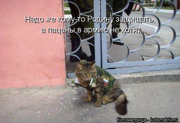 Надо же кому-то Родину защищать, а пацаны в армию не хотят...... Котоматрица: Надо же кому-то Родину защищать, а пацаны в армию не хотят...