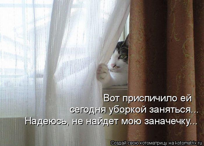 Вот приспичило ей сегодня уборкой заняться... Надеюсь, не найдет мою заначечку...... Котоматрица: Вот приспичило ей сегодня уборкой заняться... Надеюсь, не найдет мою заначечку...