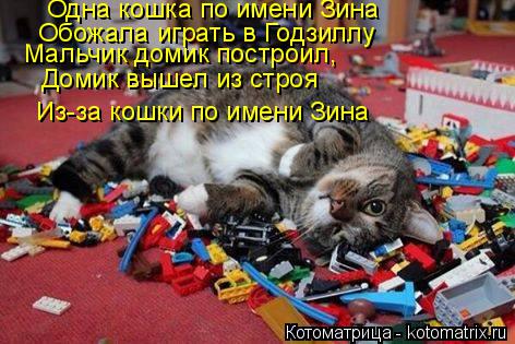 Одна кошка по имени Зина Обожала играть в Годзиллу Мальчик домик построил, Домик вышел из строя Из-за... Котоматрица: Одна кошка по имени Зина Обожала играть в Годзиллу Мальчик домик построил, Домик вышел из строя Из-за кошки по имени Зина