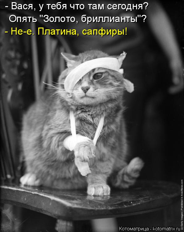 - Вася, у тебя что там сегодня? Опять "Золото, бриллианты"? - Не-е. Платина, сапфиры!... Котоматрица: - Вася, у тебя что там сегодня? Опять "Золото, бриллианты"? - Не-е. Платина, сапфиры!