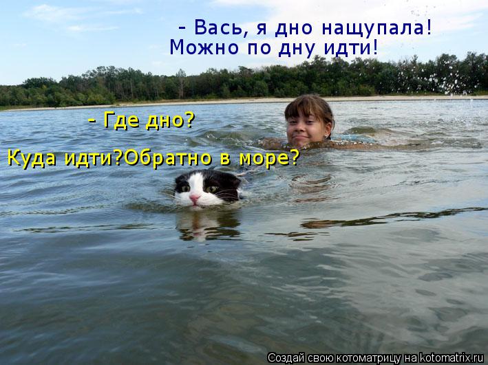 - Вась, я дно нащупала! Можно по дну идти! - Где дно? Куда идти?Обратно в море?... Котоматрица: - Вась, я дно нащупала! Можно по дну идти! - Где дно? Куда идти?Обратно в море?