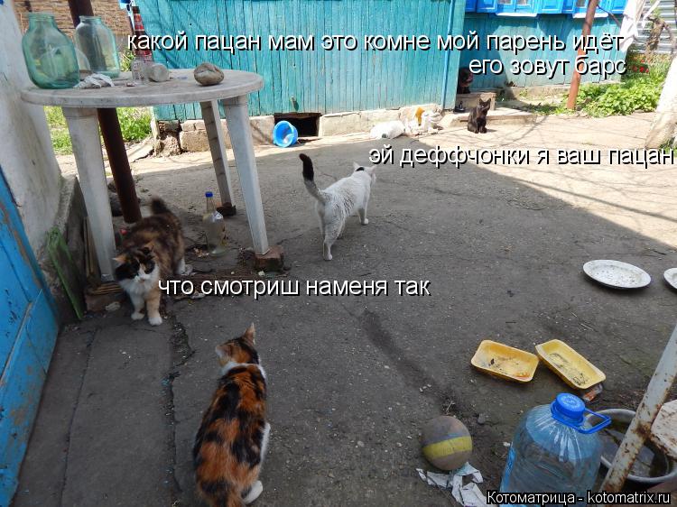 что смотриш наменя так какой пацан мам это комне мой парень идёт его зовут барс эй деффчонки я ваш па... Котоматрица: что смотриш наменя так какой пацан мам это комне мой парень идёт его зовут барс эй деффчонки я ваш пацан