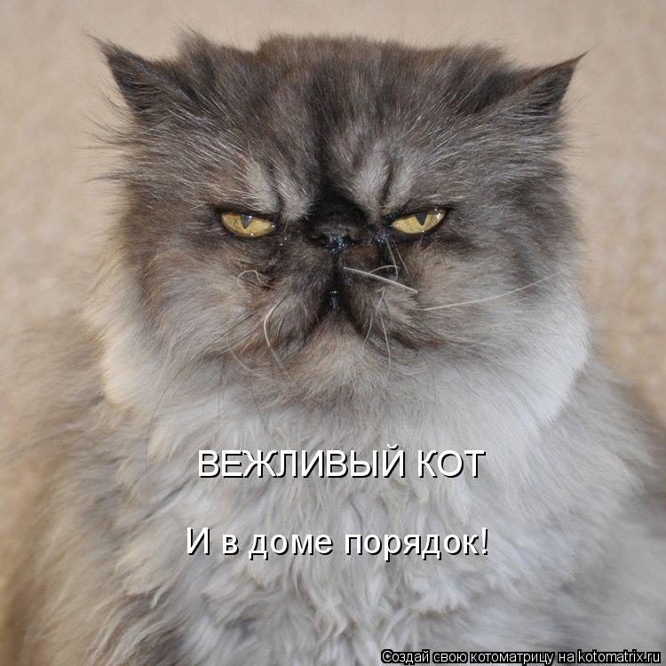 ВЕЖЛИВЫЙ КОТ И в доме порядок!... Котоматрица: ВЕЖЛИВЫЙ КОТ И в доме порядок!