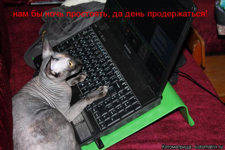 http://kotomatrix.ru/images/lolz/2014/04/25/kotomatritsa_X-Z.jpg