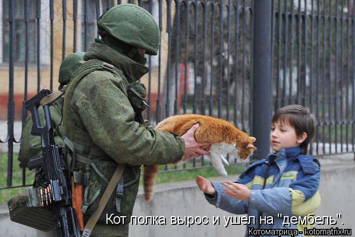 Кот полка вырос и ушел на "дембель".... Котоматрица: Кот полка вырос и ушел на "дембель".