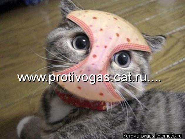 www.protivogas.cat.ru....... Котоматрица: www.protivogas.cat.ru....