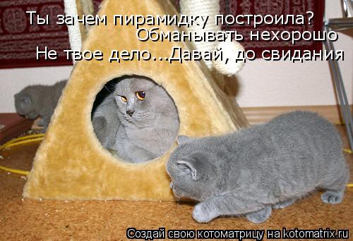 Ты зачем пирамидку построила? Обманывать нехорошо Не твое дело...Давай, до свидания... Котоматрица: Ты зачем пирамидку построила? Обманывать нехорошо Не твое дело...Давай, до свидания