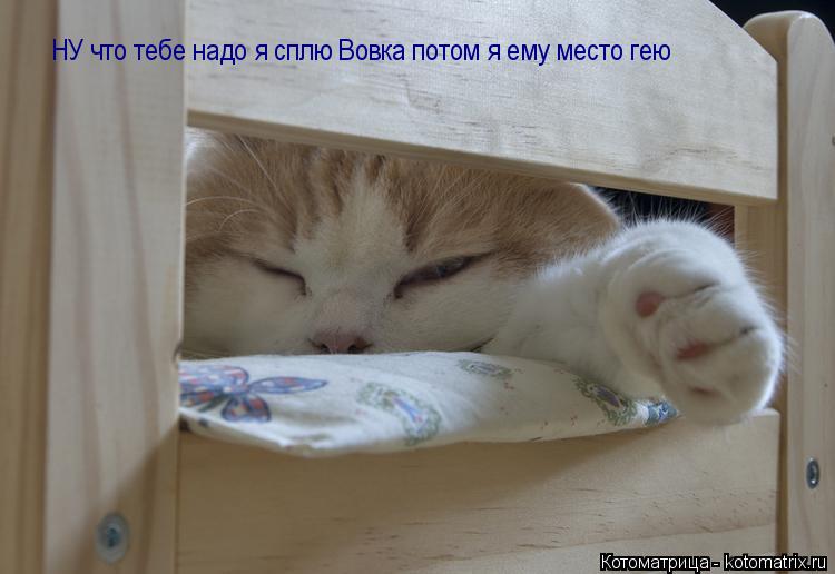НУ что тебе надо я сплю Вовка потом я ему место гею НУ что тебе надо я сплю Вовка потом я ему место г... Котоматрица: НУ что тебе надо я сплю Вовка потом я ему место гею НУ что тебе надо я сплю Вовка потом я ему место гею