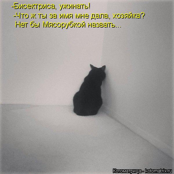 -Бисектриса, ужинать! -Что ж ты за имя мне дала, хозяйка? Нет бы Мясорубкой назвать...... Котоматрица: -Бисектриса, ужинать! -Что ж ты за имя мне дала, хозяйка? Нет бы Мясорубкой назвать...