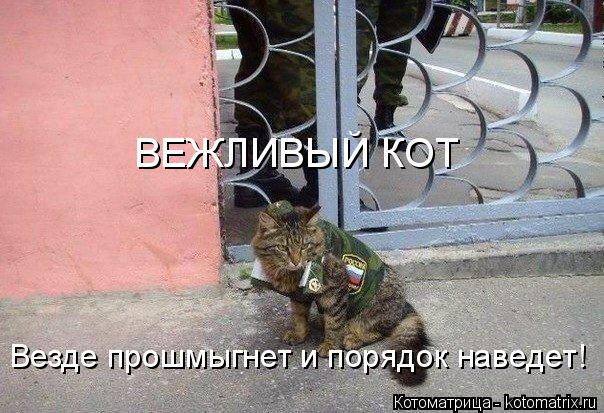 ВЕЖЛИВЫЙ КОТ Везде прошмыгнет и порядок наведет!... Котоматрица: ВЕЖЛИВЫЙ КОТ Везде прошмыгнет и порядок наведет!