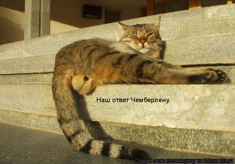 Наш ответ Чемберлену.... Котоматрица: Наш ответ Чемберлену.