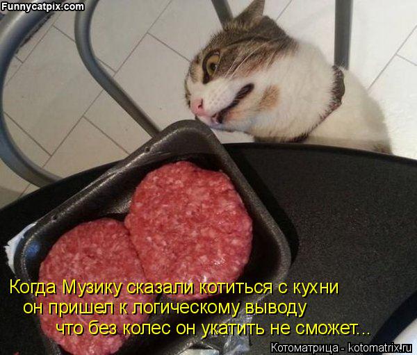 он пришел к логическому выводу что без колес он укатить не сможет... Когда Музику сказали котиться с ... Котоматрица: он пришел к логическому выводу что без колес он укатить не сможет... Когда Музику сказали котиться с кухни