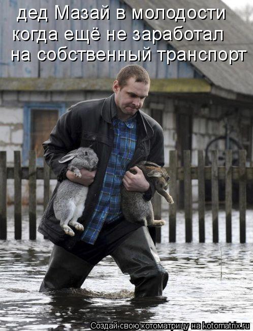 дед Мазай в молодости на собственный транспорт когда ещё не заработал... Котоматрица: дед Мазай в молодости на собственный транспорт когда ещё не заработал