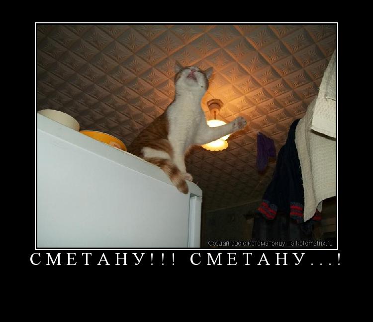 СМЕТАНУ!!! СМЕТАНУ...! ... Котоматрица: СМЕТАНУ!!! СМЕТАНУ...!