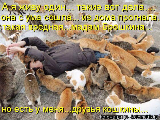 А я живу один... такие вот дела.... она с ума сошла... из дома прогнала... такая вредная...мадам Брош... Котоматрица: А я живу один... такие вот дела.... она с ума сошла... из дома прогнала... такая вредная...мадам Брошкина... но есть у меня...друзья кошкины...