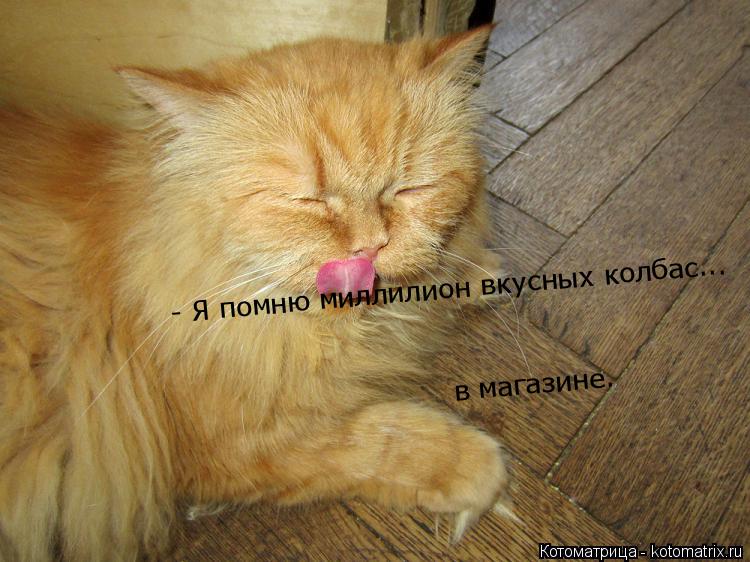 - Я помню миллилион вкусных колбас... в магазине.... Котоматрица: - Я помню миллилион вкусных колбас... в магазине.