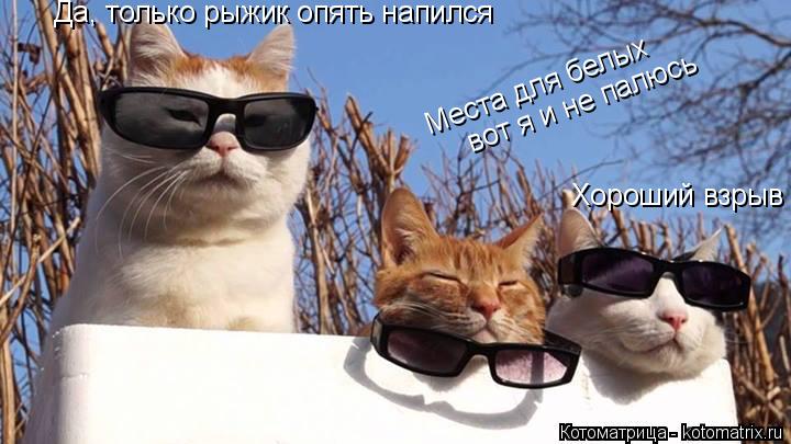 Хороший взрыв Да, только рыжик опять напился Места для белых вот я и не палюсь... Котоматрица: Хороший взрыв Да, только рыжик опять напился Места для белых вот я и не палюсь