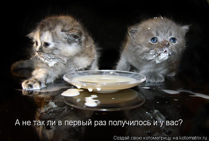 А не так ли в первый раз получилось и у вас?... Котоматрица: А не так ли в первый раз получилось и у вас?