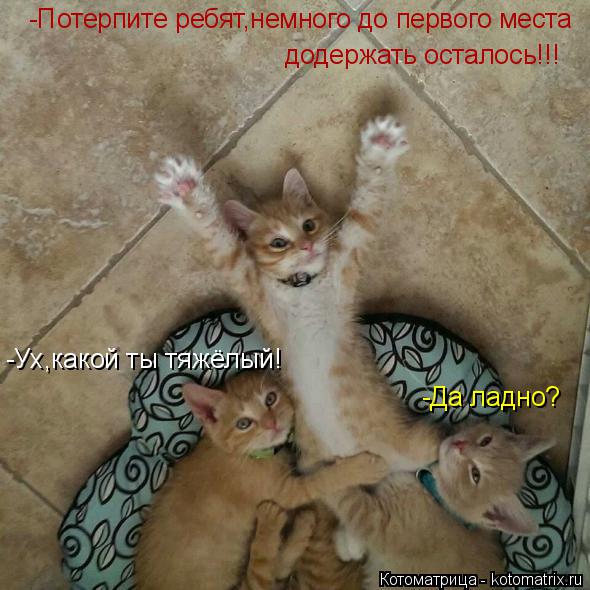 -Ух,какой ты тяжёлый! -Да ладно? -Потерпите ребят,немного до первого места додержать осталось!!!... Котоматрица: -Ух,какой ты тяжёлый! -Да ладно? -Потерпите ребят,немного до первого места додержать осталось!!!