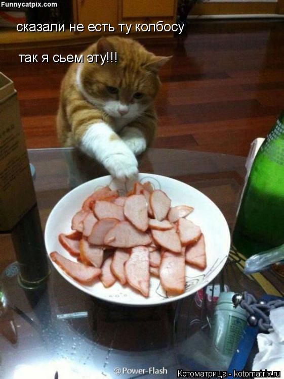 сказали не есть ту колбосу так я сьем эту!!!... Котоматрица: сказали не есть ту колбосу так я сьем эту!!!