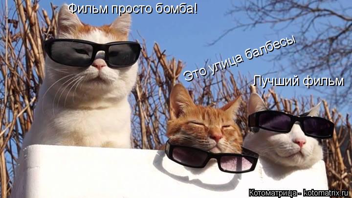 Фильм просто бомба! Лучший фильм Это улица балбесы... Котоматрица: Фильм просто бомба! Лучший фильм Это улица балбесы