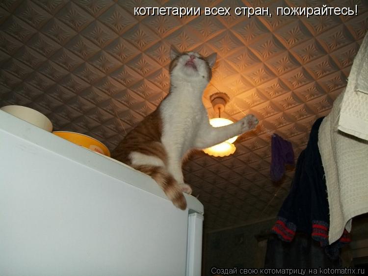 котлетарии всех стран, пожирайтесь!... Котоматрица: котлетарии всех стран, пожирайтесь!