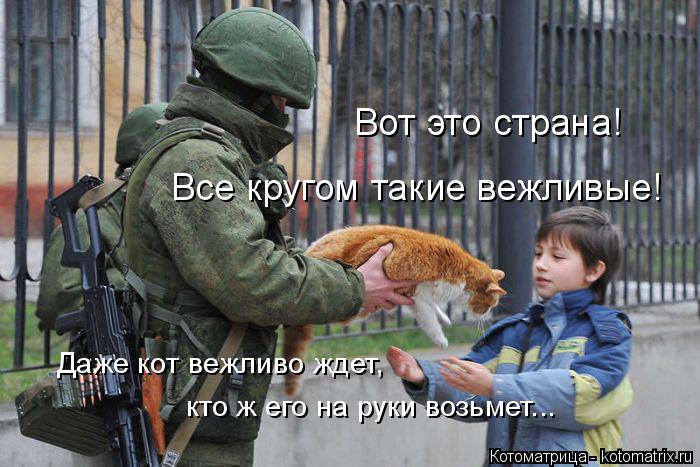 Все кругом такие вежливые! Вот это страна! кто ж его на руки возьмет... Даже кот вежливо ждет,... Котоматрица: Все кругом такие вежливые! Вот это страна! кто ж его на руки возьмет... Даже кот вежливо ждет,