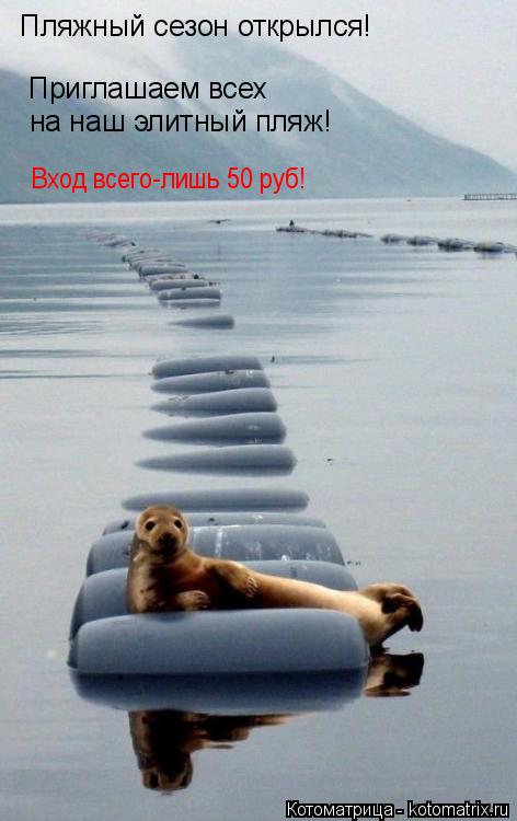 Пляжный сезон открылся! Приглашаем всех на наш элитный пляж! Вход всего-лишь 50 руб!... Котоматрица: Пляжный сезон открылся! Приглашаем всех на наш элитный пляж! Вход всего-лишь 50 руб!