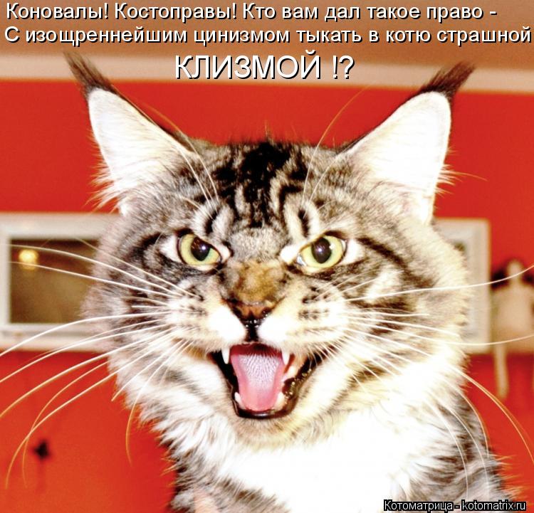 Коновалы! Костоправы! Кто вам дал такое право - С изощреннейшим цинизмом тыкать в котю страшной КЛИЗ... Котоматрица: Коновалы! Костоправы! Кто вам дал такое право - С изощреннейшим цинизмом тыкать в котю страшной КЛИЗМОЙ !?