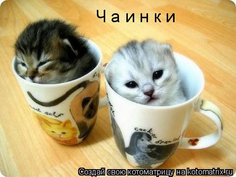 Ч а и н к и... Котоматрица: Ч а и н к и