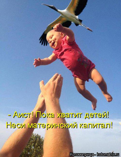 Неси материнский капитал! - Аист! Пока хватит детей!... Котоматрица: Неси материнский капитал! - Аист! Пока хватит детей!