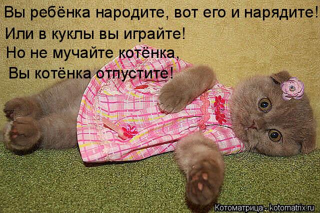 Вы ребёнка народите, вот его и нарядите! Или в куклы вы играйте! Но не мучайте котёнка, Вы котёнка о... Котоматрица: Вы ребёнка народите, вот его и нарядите! Или в куклы вы играйте! Но не мучайте котёнка, Вы котёнка отпустите!