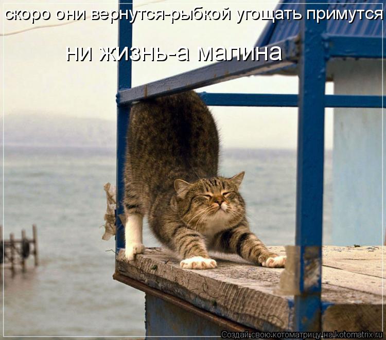 скоро они вернутся-рыбкой угощать примутся ни жизнь-а малина... Котоматрица: скоро они вернутся-рыбкой угощать примутся ни жизнь-а малина