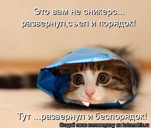 Это вам не сникерс... развернул,съел и порядок! Тут ...развернул и беспорядок!... Котоматрица: Это вам не сникерс... развернул,съел и порядок! Тут ...развернул и беспорядок!