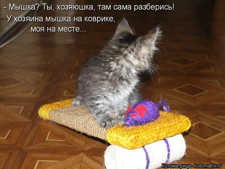 Котоматрица: моя на месте... - Мышка? Ты, хозяюшка, там сама разберись! У хозяина мышка на коврике,