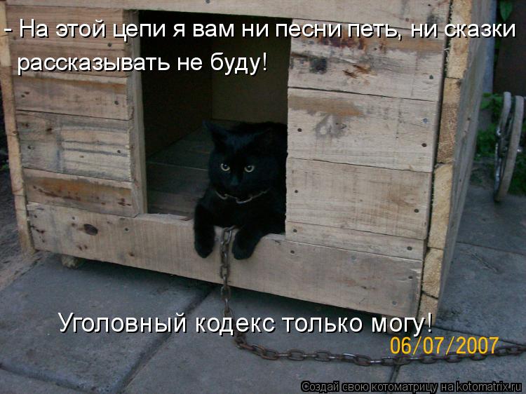 - На этой цепи я вам ни песни петь, ни сказки рассказывать не буду! Уголовный кодекс только могу!... Котоматрица: - На этой цепи я вам ни песни петь, ни сказки рассказывать не буду! Уголовный кодекс только могу!