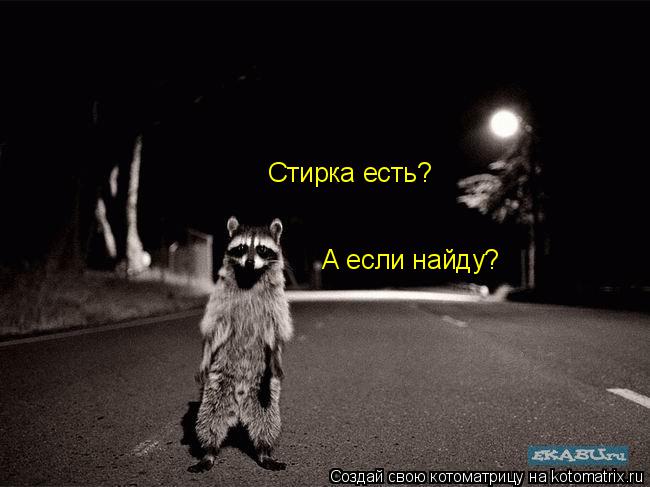Стирка есть? А если найду?... Котоматрица: Стирка есть? А если найду?