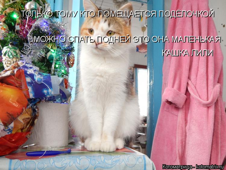 ТОЛЬКО ТОМУ КТО ПОМЕЩАЕТСЯ ПОДЁЛОЧКОЙ МОЖНО СПАТЬ ПОДНЕЙ ЭТО ОНА МАЛЕНЬКАЯ КАШКА ЛИЛИ... Котоматрица: ТОЛЬКО ТОМУ КТО ПОМЕЩАЕТСЯ ПОДЁЛОЧКОЙ МОЖНО СПАТЬ ПОДНЕЙ ЭТО ОНА МАЛЕНЬКАЯ КАШКА ЛИЛИ