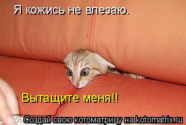 Я кожись не влезаю. Вытащите меня!!... Котоматрица: Я кожись не влезаю. Вытащите меня!!